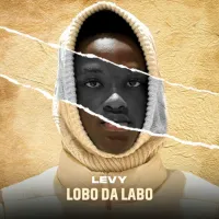 J-Levy-Companhia.webp