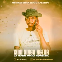 Mr-Ngwenha-Novo-Talento-Ixini-Xinga-Ngena-La-Mutini-Waka-Nwenha-AUDIO-.webp