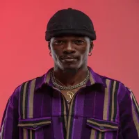 Debordo-Leekunfa-piou-piou.webp
