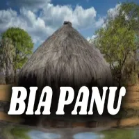 El-martinho-Bia-Panu.webp