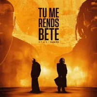 gims-damso-Tu-me-rend-bete-1757707025.webp