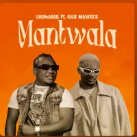 L-homanix-Feat-Gaz-mawete-Mantwala.webp