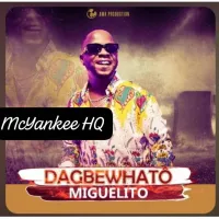 Petit-Miguelito-Dagbewhato-Yankee-HQ-.webp