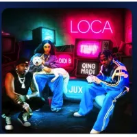 Qing-Madi-ft-Didi-B-x-Jux-LocA-McYankee-HD-.webp