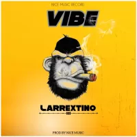 Larrextino-Vibe.webp